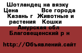 Шотландец на вязку › Цена ­ 1 000 - Все города, Казань г. Животные и растения » Кошки   . Амурская обл.,Благовещенский р-н